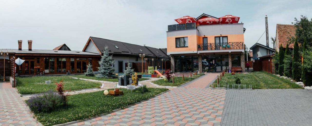 Pensiune Confort Morosanu Sinca Veche Exterior photo
